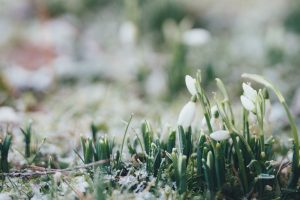222annie-spratt-L0QJ9y1aIx8-unsplash